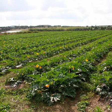 Agrimaccari Marzamemi-vendicari - Esperienza Autentica Siciliana Camping Marzamemi