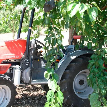 Agrimaccari Marzamemi-vendicari - Esperienza Autentica Siciliana