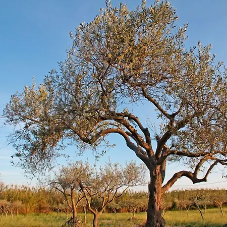 Agrimaccari Marzamemi-vendicari - Esperienza Autentica Siciliana *