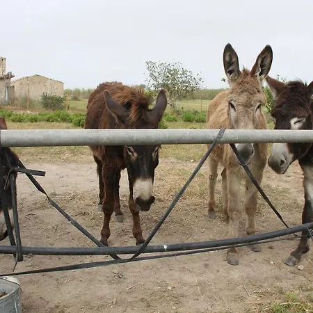 Agriturismo Agrimaccari Marzamemi-Vendicari - Esperienza Autentica Siciliana Marzamemi
