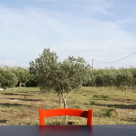 Campsite Agriturismo Agrimaccari Marzamemi-Vendicari - Esperienza Autentica Siciliana